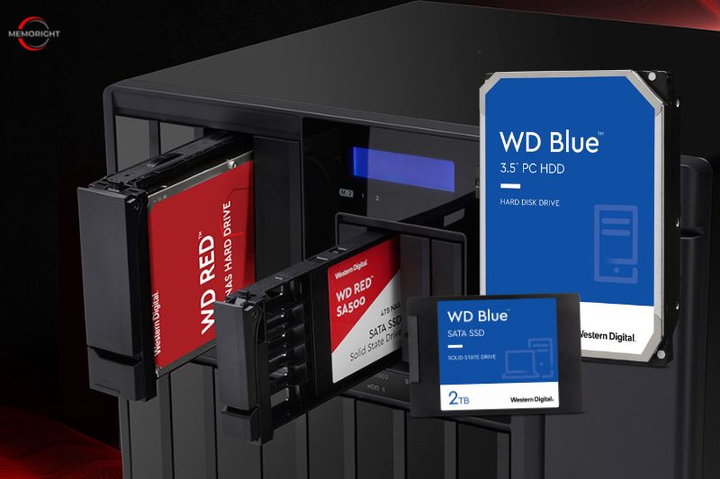 WD Red vs Blue What Are the Differences and Which One Is better