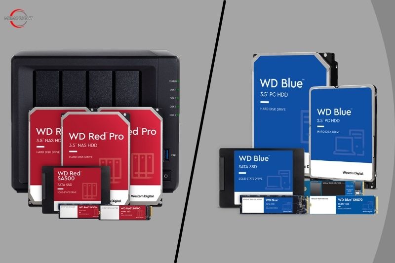 Western Digital Red vs Blue Which One You Should Choose on 2023