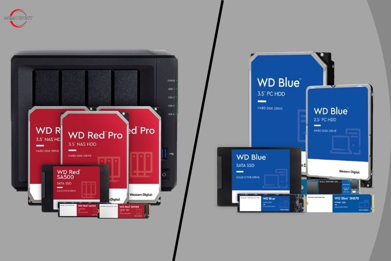 Western Digital Red vs Which Is Better on - Memoright