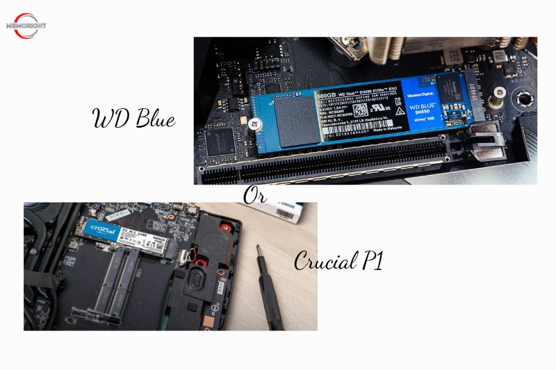 Which is the best SSD Crucial P1 or WD Blue SN550