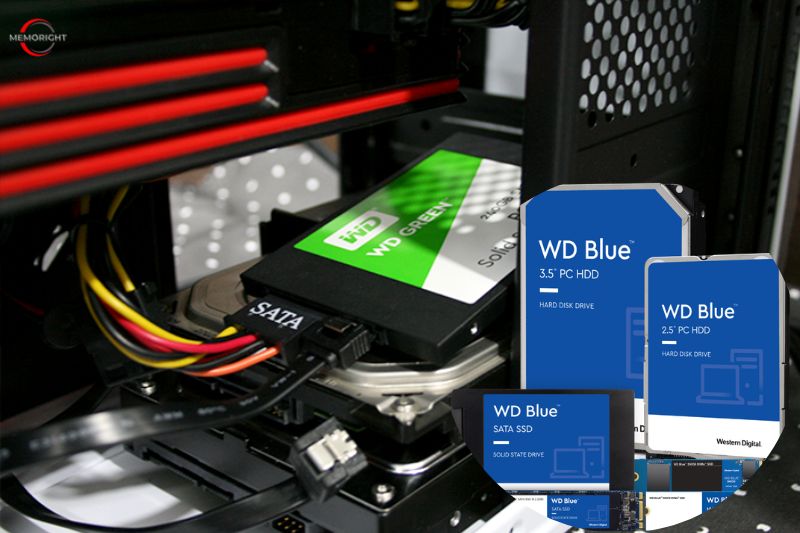 Which is the Best WD Blue vs Green SSD