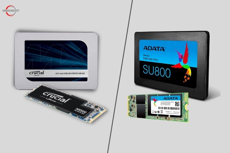 ADATA SU800 vs Crucial MX500 Which Is The Best
