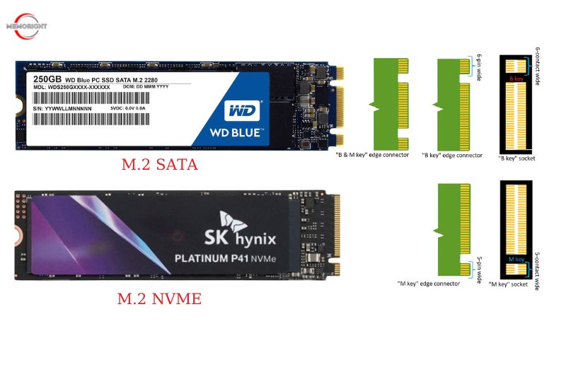 M.2 SATA and M.2 NVME SSD
