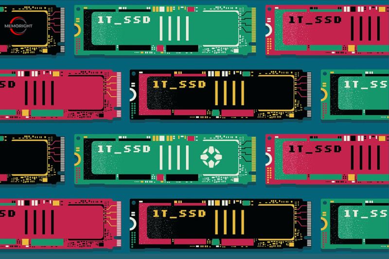 Which SSD Should You Choose (1)